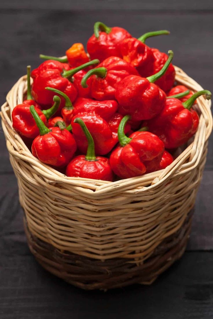 Panier de piments frais de qualité pour exportation par Kouame Global Transit Trade.